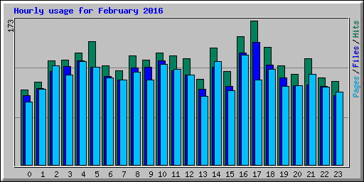 Hourly usage for February 2016