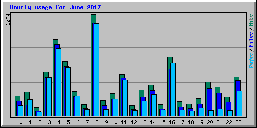 Hourly usage for June 2017