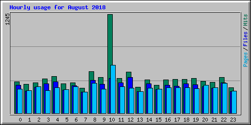 Hourly usage for August 2018