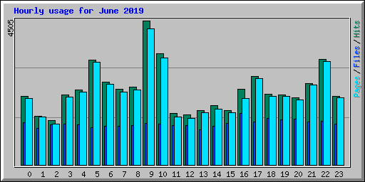 Hourly usage for June 2019