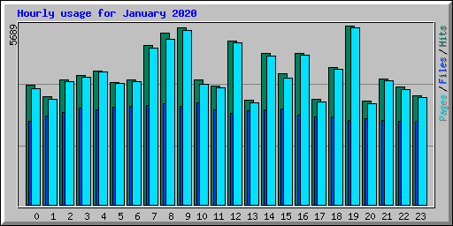 Hourly usage for January 2020