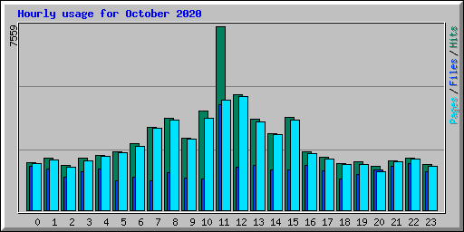 Hourly usage for October 2020