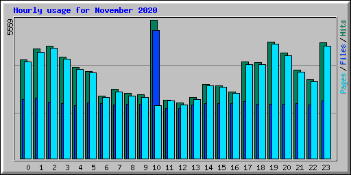 Hourly usage for November 2020