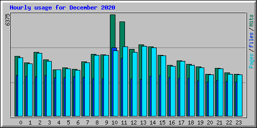 Hourly usage for December 2020