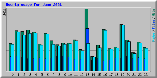 Hourly usage for June 2021