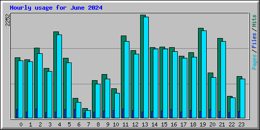 Hourly usage for June 2024