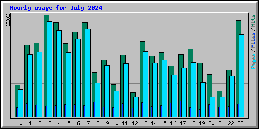 Hourly usage for July 2024