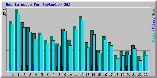 Hourly usage for September 2024