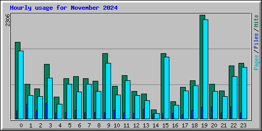 Hourly usage for November 2024