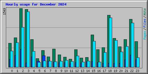 Hourly usage for December 2024