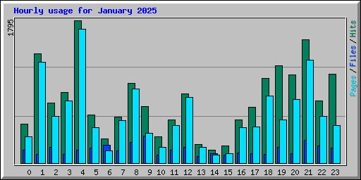Hourly usage for January 2025