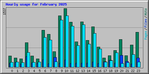 Hourly usage for February 2025
