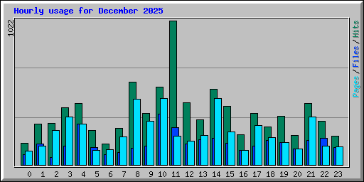 Hourly usage for December 2025